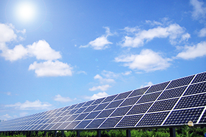 有限会社 MSIコーポレーション