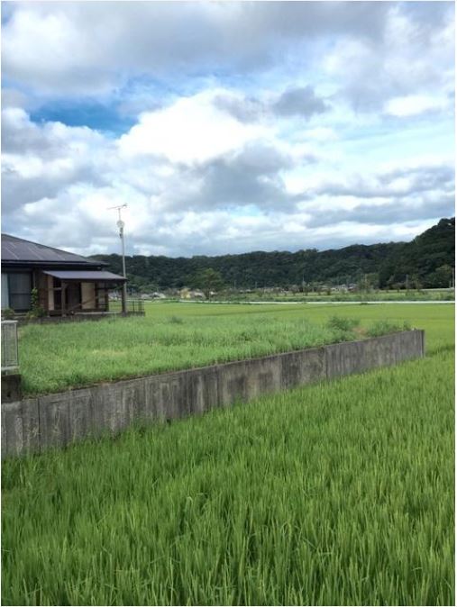 喜入駅 15分 住宅用地