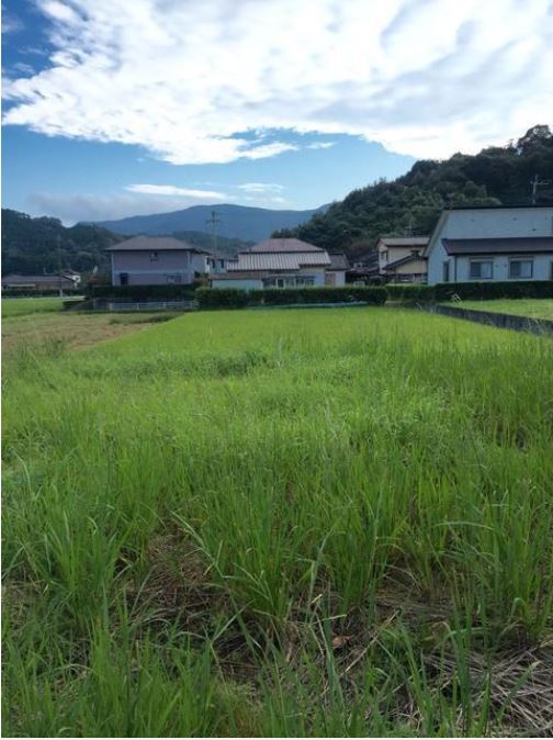 喜入駅 15分 住宅用地