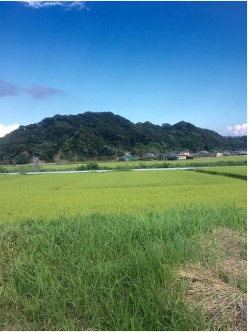 喜入駅 15分 住宅用地