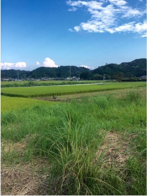 喜入駅 15分 住宅用地